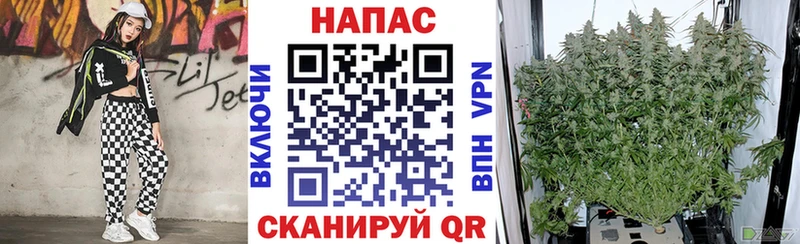 Купить закладку КОКАИН  Меф мяу мяу  NBOMe  Марихуана  Гашиш  Alpha-PVP  АМФ  Емва
